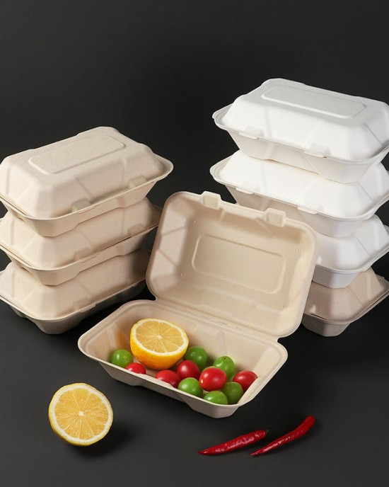 Disposable Bagasse Container Box Takeaway 1000ml Lunch Box High Temperature Resistant Bagasse Heatable Pulp Lunch Boxes