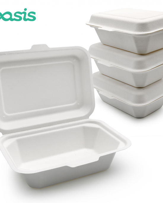 Oasis 600ml Greaseproof Bagasse Biodegradable Sandwich Togo Container Take Away Food Packaging Paper Bento Lunch Box